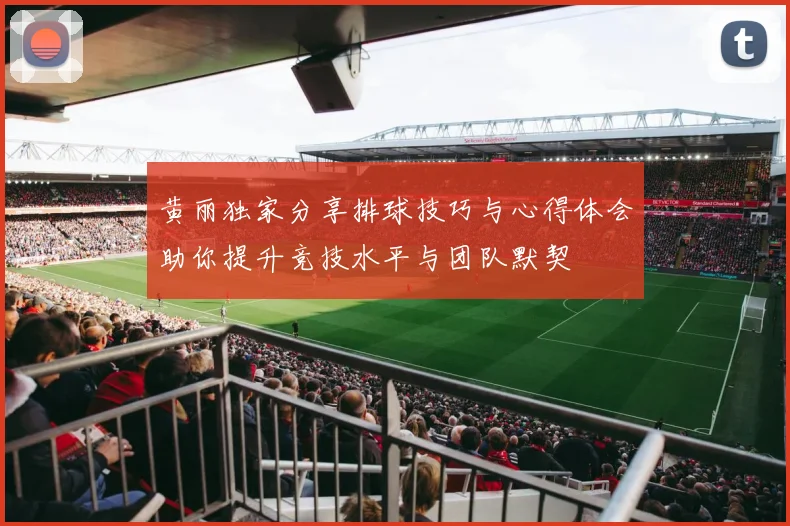 黄丽独家分享排球技巧与心得体会助你提升竞技水平与团队默契